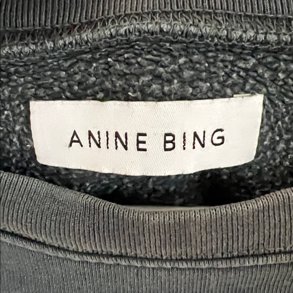 Anine Bing Gray Tiger Graphic Sweater - Picture 3 of 6